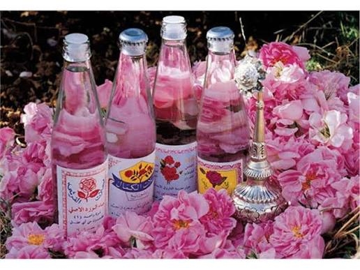 برند ۱۵: عرقیات گیاهی کاشان؛ عطری که از دل کویر می‌جوشد