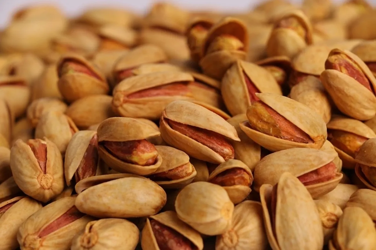 پسته ایران؛ سبز طلایی که دنیا تشنه آن است