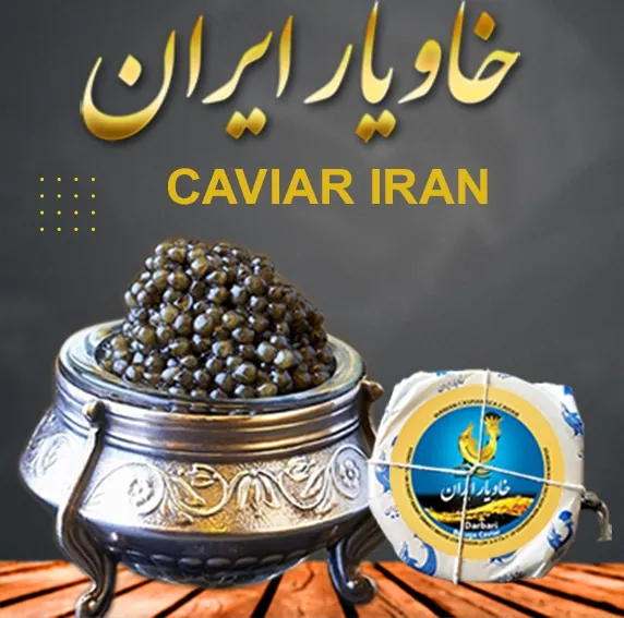 خاویار ایرانی؛ مروارید سیاهی که از دریای خزر برمیخیزد
