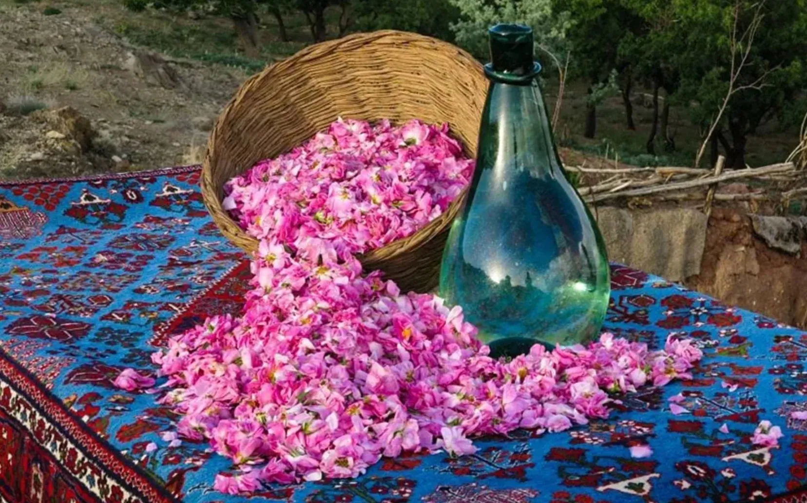 کاشان؛ عطری که از دل کویر به بهشت می‌رسد