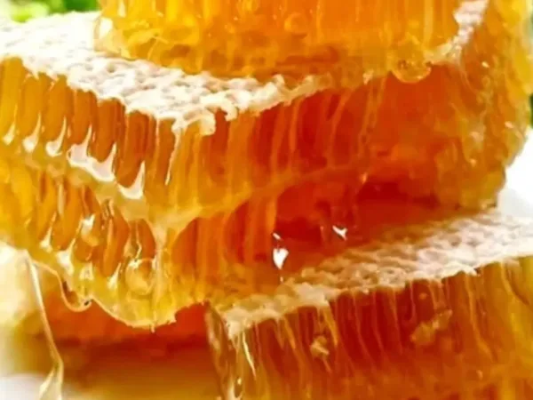 عسل سبلان؛ شیرینی که از آسمان اردبیل میچکد