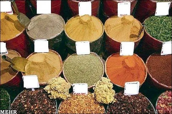 گیاهان دارویی ایران؛ داروخانه سبز زاگرس